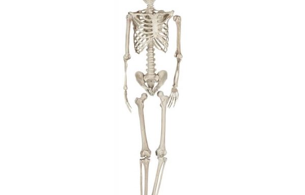 Squelette zombie pendu